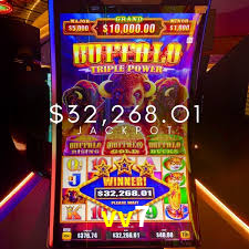 Sports Statistics vv7